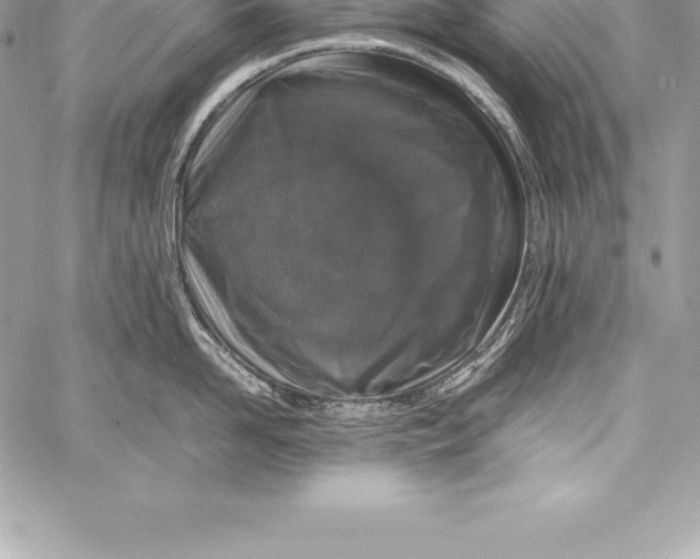 X0000058100958200510171215