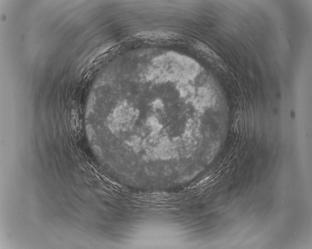 X0000058100966200510171214