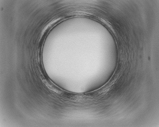 X0000058100987200510171214