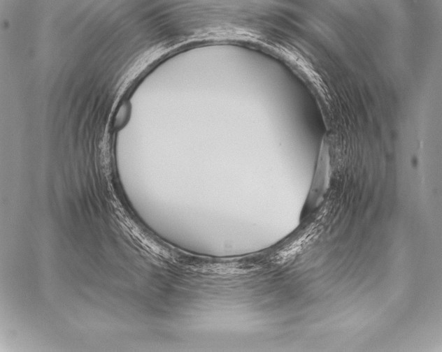 X0000058100990200510171214