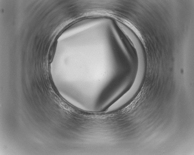 X0000058100996200510171213