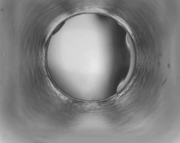 X0000058101006200510171213