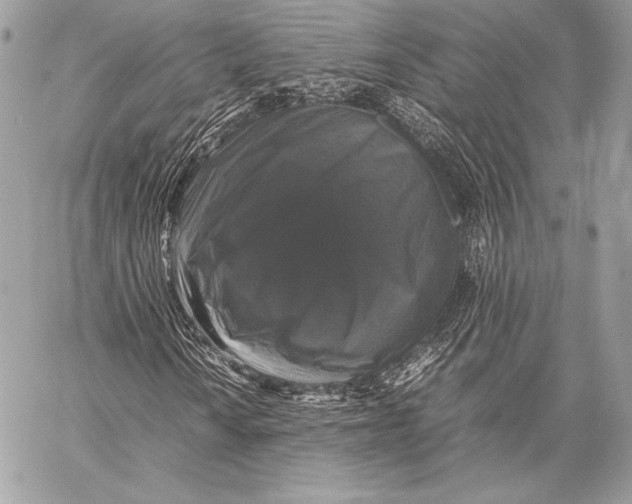 X0000058101010200510171212