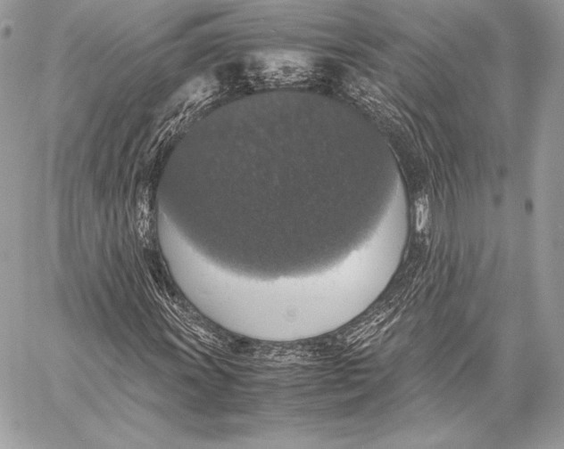 X0000058101011200510171212