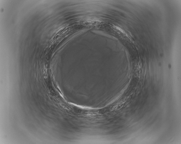 X0000058101013200510171212