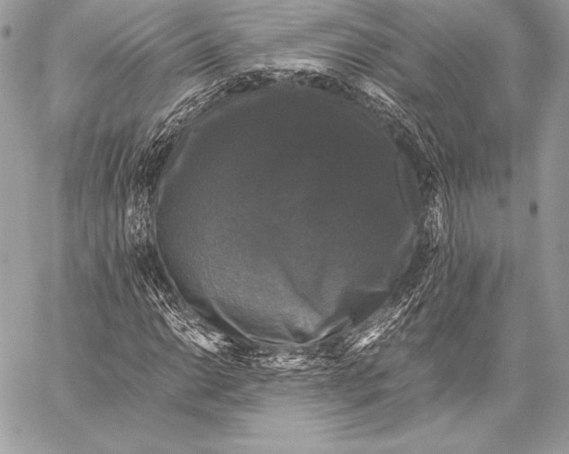 X0000058101014200510171212