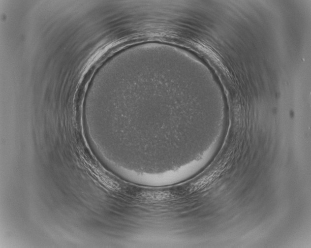 X0000058101023200510171213