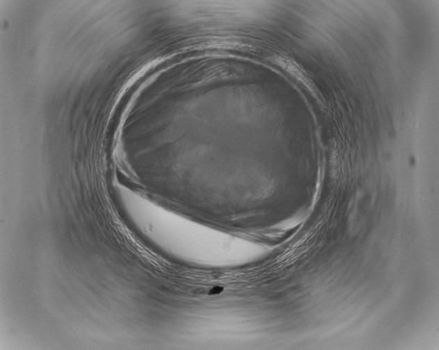 X0000058101024200510171213