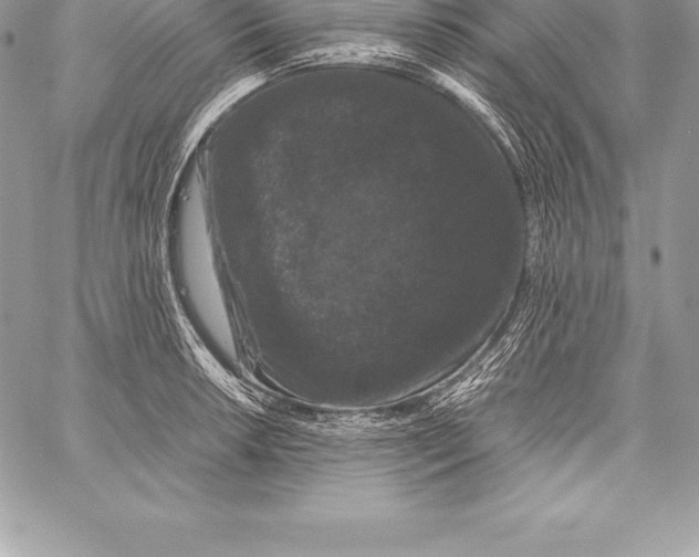X0000058101042200510171213