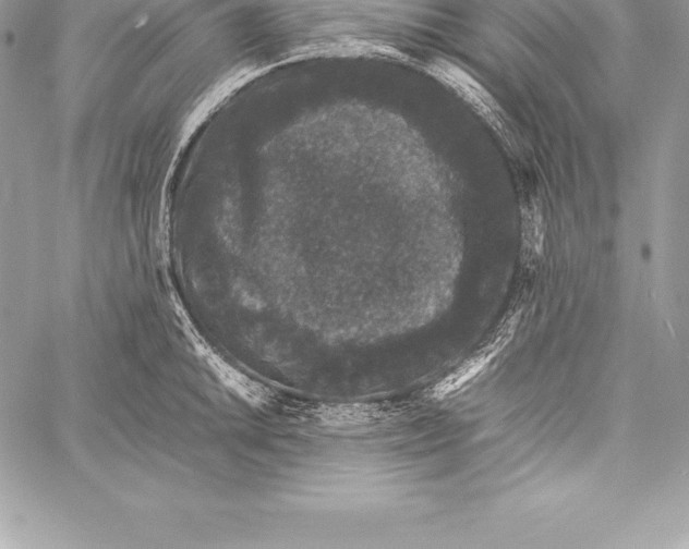 X0000058101046200510171213