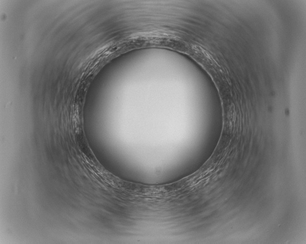 X0000058101062200510171212