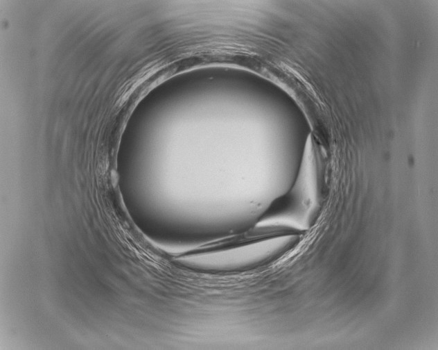 X0000058101065200510171212