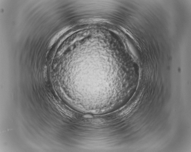 X0000058101066200510171212