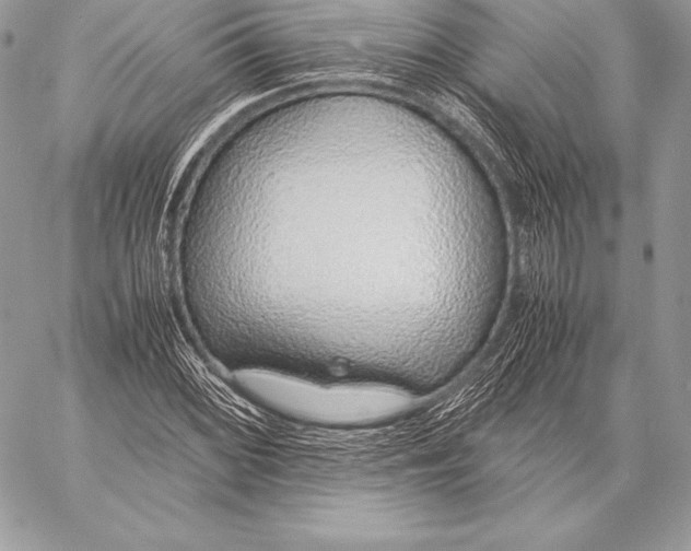 X0000058101068200510171212