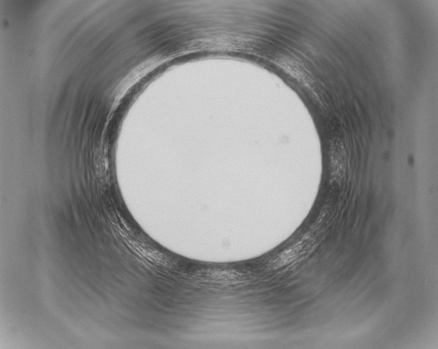 X0000058101070200510171212