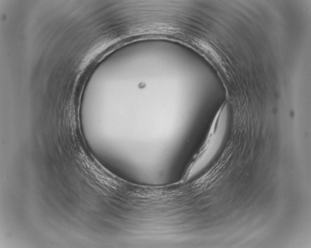 X0000058101072200510171212