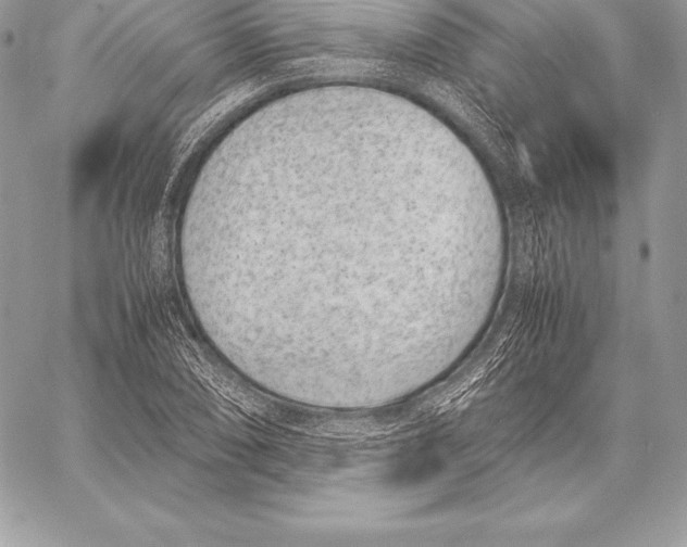 X0000058101074200510171212