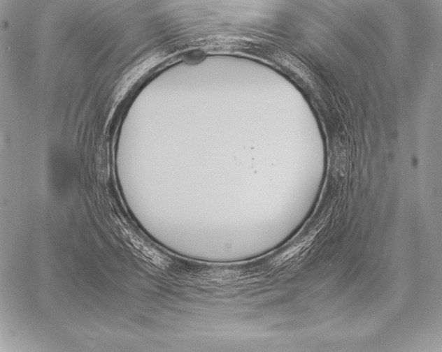 X0000058101075200510171212