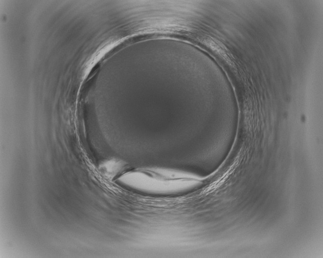 X0000058101077200510171212