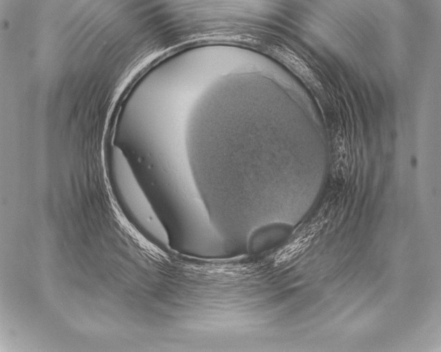 X0000058101084200510171212