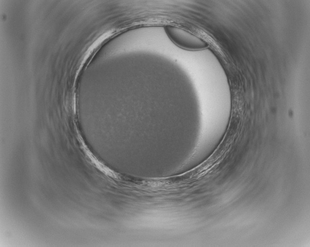 X0000058101095200510171212