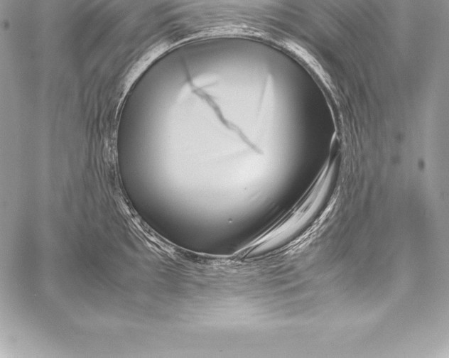 X0000058101097200510171212