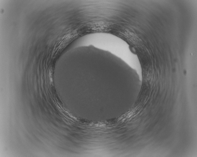 X0000058101106200510171211