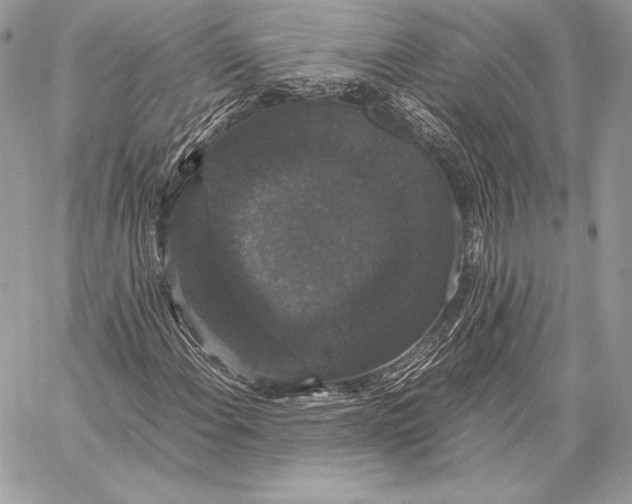 X0000058101108200510171211