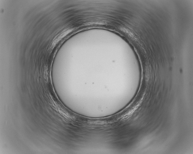 X0000058101113200510171211