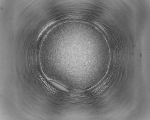 X0000058101115200510171211