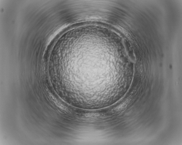 X0000058101118200510171211