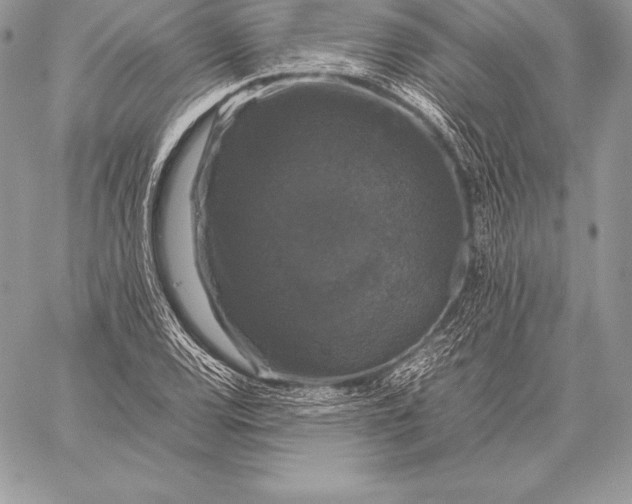 X0000058101120200510171211