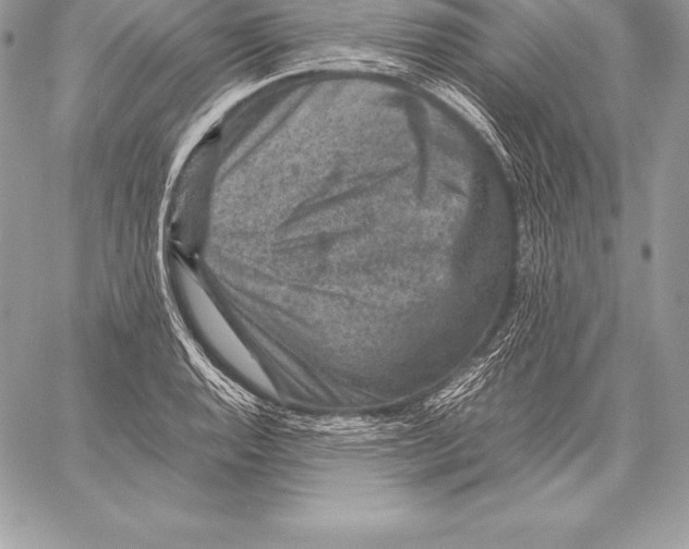 X0000058101128200510171211