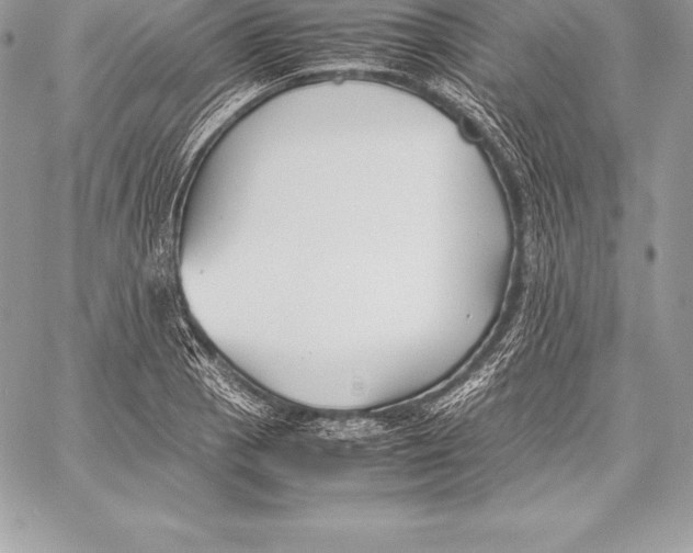 X0000058101129200510171211
