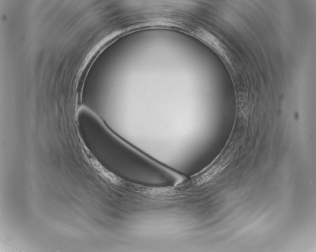 X0000058101140200510171211