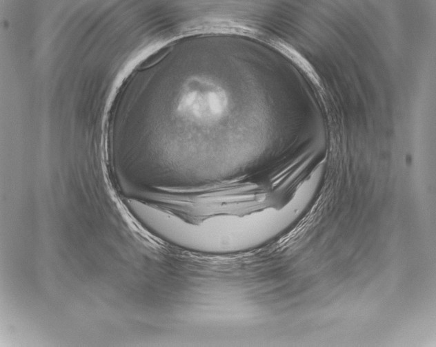X0000058101144200510171211
