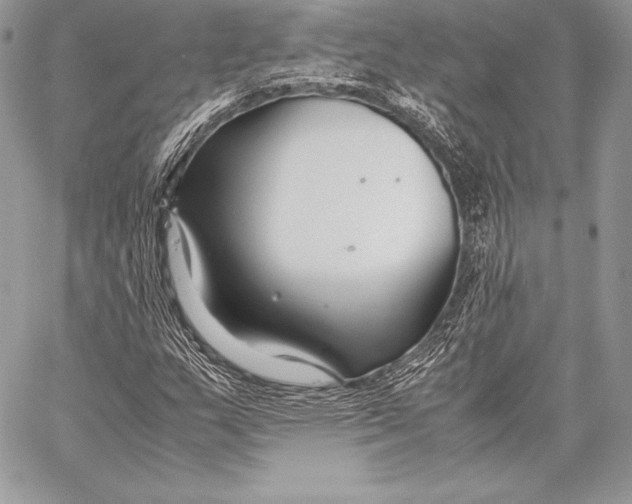 X0000058101159200510171211