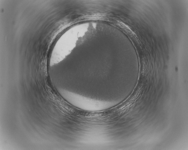 X0000058101174200510171210