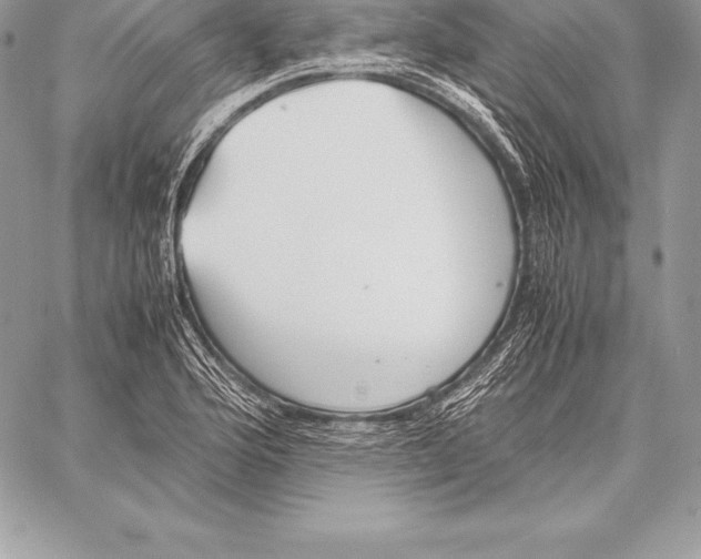 X0000058101176200510171210