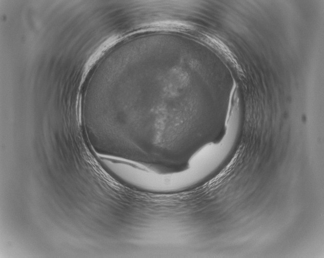 X0000058101180200510171210