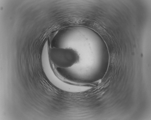 X0000058101202200510171209