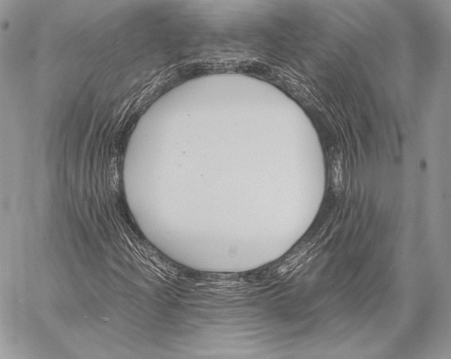 X0000058101204200510171209