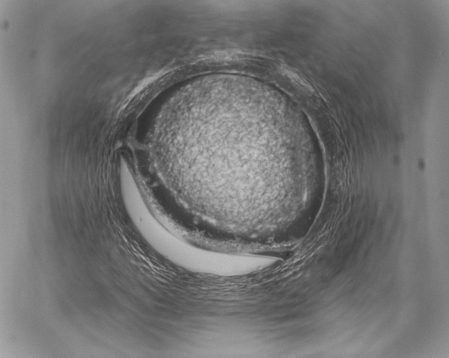 X0000058101206200510171209