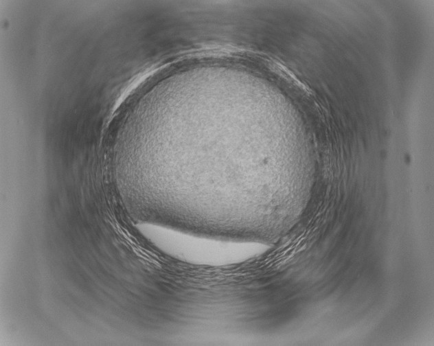 X0000058101208200510171209