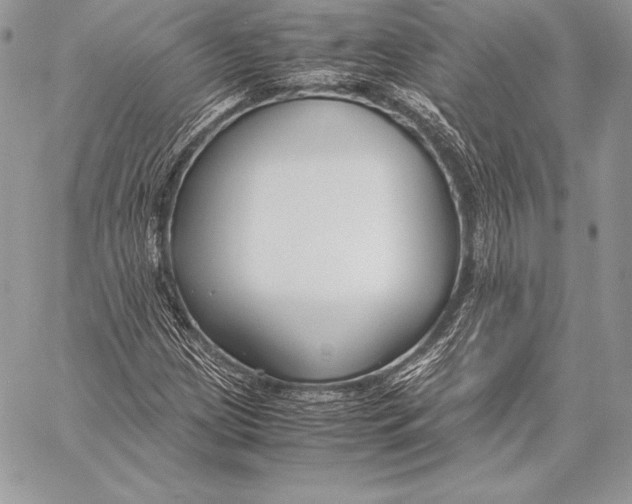 X0000058101209200510171209