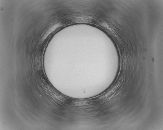 X0000058101211200510171209