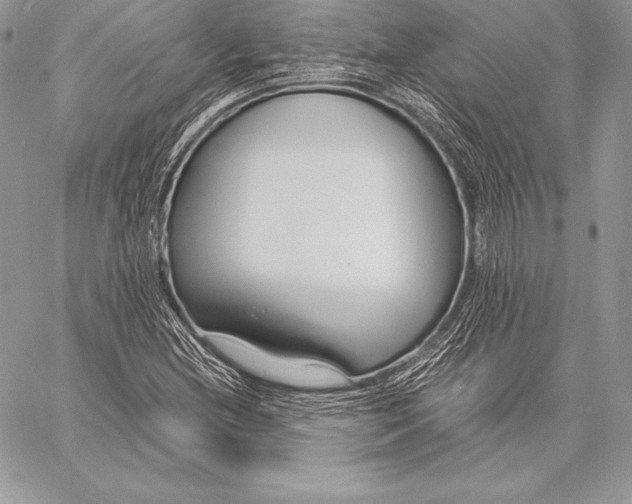 X0000058101212200510171209