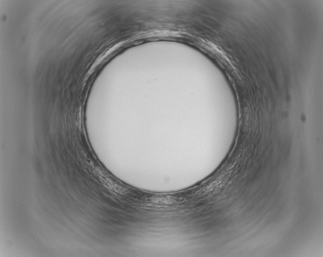 X0000058101220200510171209