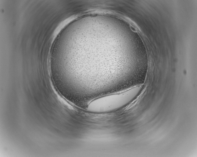 X0000058101247200510171210