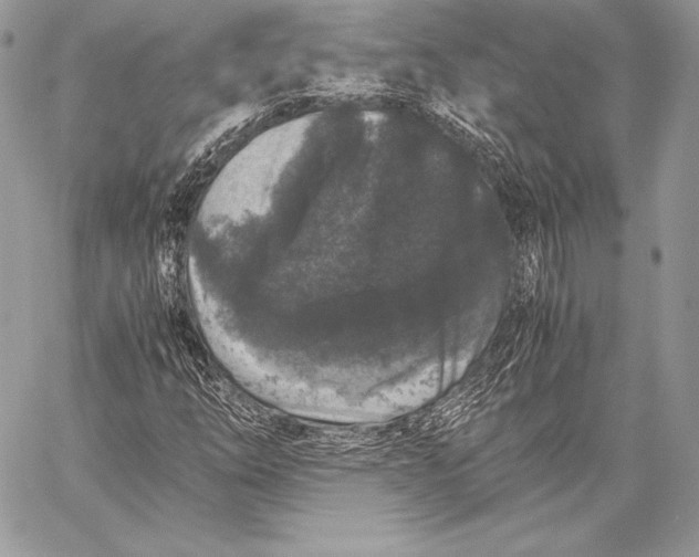 X0000058101254200510171209